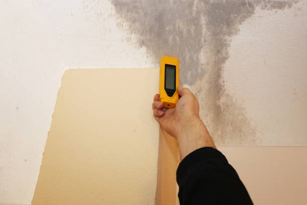 Best Air Quality Testing for Mold Spores  in Espy, PA