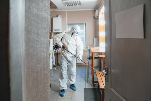 Best Real Estate Mold Inspection  in Espy, PA