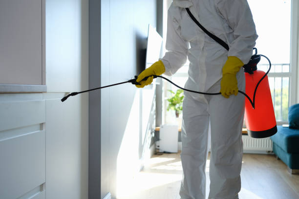 Mold Remediation for Vacation Homes in Espy, PA