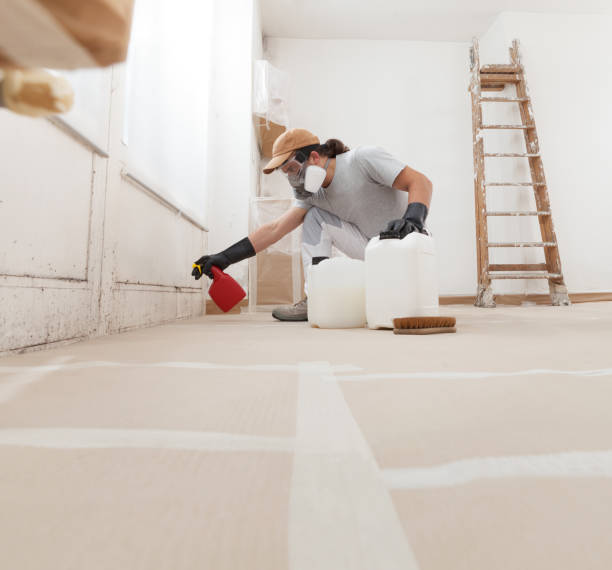 Best Post-Construction Mold Inspection  in Espy, PA
